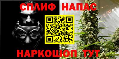 ECSTASY Будённовск
