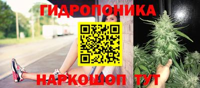 ECSTASY Будённовск