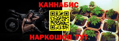 ECSTASY Будённовск