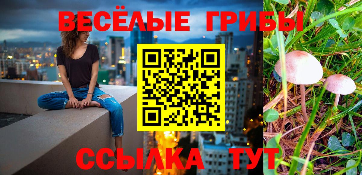 Галлюциногенные грибы MAGIC MUSHROOMS  Вход с VPN  Новый Уренгой  Псилоцибиновые грибы прущие грибы 