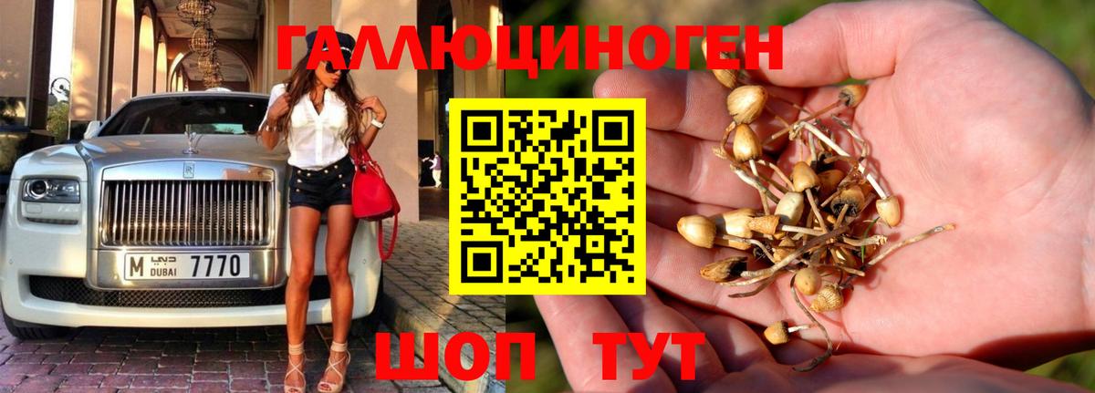 Галлюциногенные грибы Cubensis Новый Уренгой